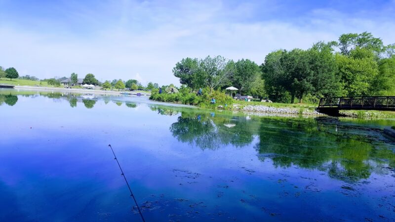 Raccoon Grove Nature Preserve - Monee, IL
