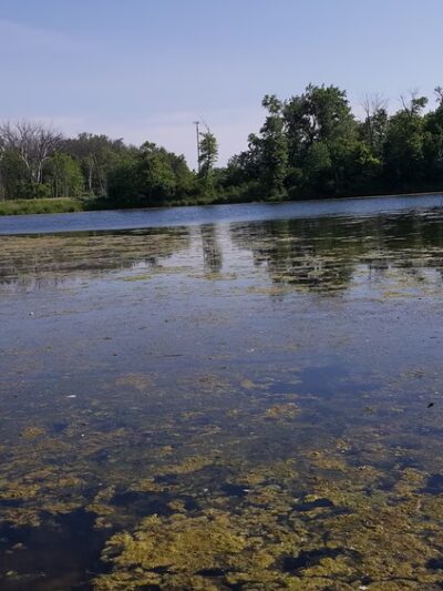 Raccoon Grove Nature Preserve - Monee, IL