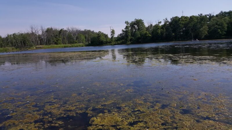 Raccoon Grove Nature Preserve - Monee, IL