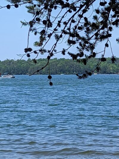 Smith Mountain Lake Community Park - Moneta, VA