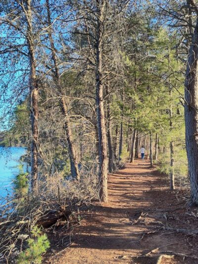 Smith Mountain Lake Community Park - Moneta, VA