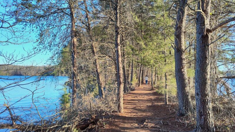 Smith Mountain Lake Community Park - Moneta, VA