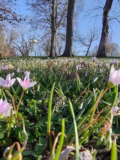 Monett South Park - Monett, MO