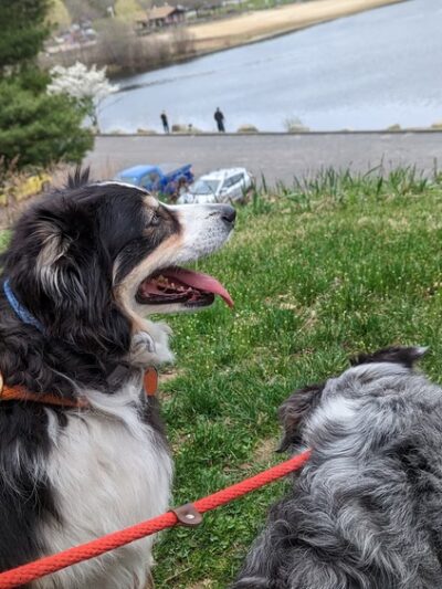 Housatonic Valley Rail Trail Access Point - Monroe, CT