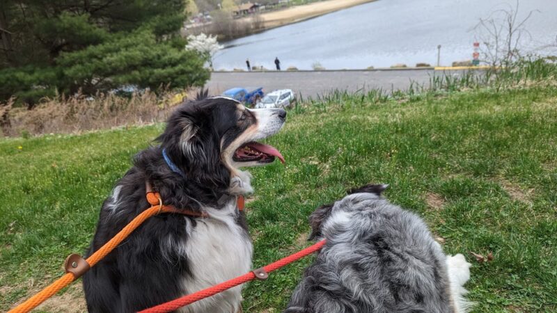 Housatonic Valley Rail Trail Access Point - Monroe, CT