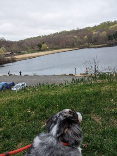 Housatonic Valley Rail Trail Access Point - Monroe, CT