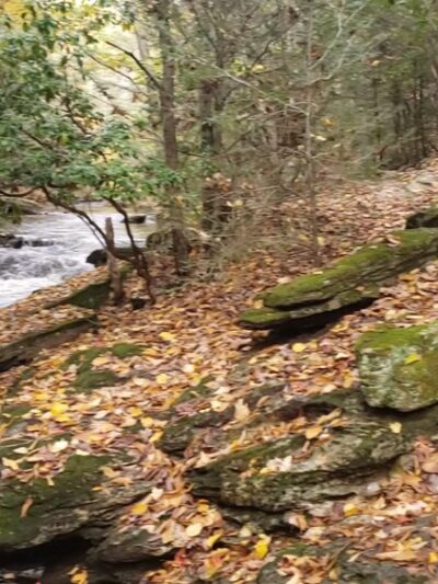 Pequonnock River Trail - Monroe, CT
