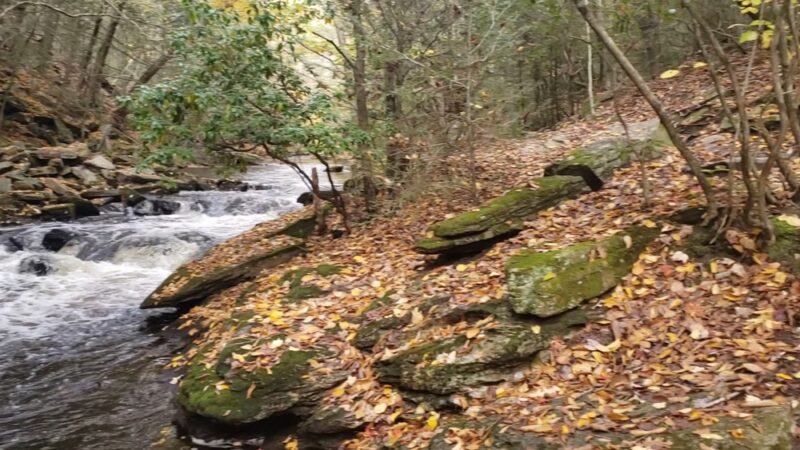 Pequonnock River Trail - Monroe, CT