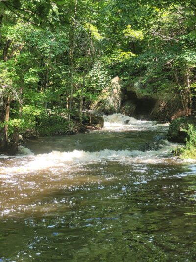 Pequonnock River Trail - Monroe, CT