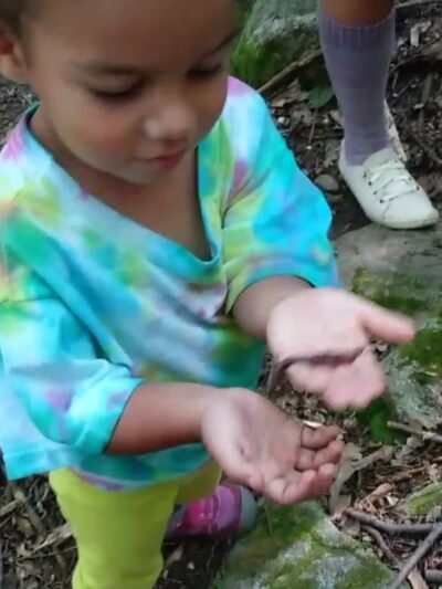 Webb Mountain Park - Monroe, CT