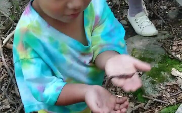 Webb Mountain Park - Monroe, CT