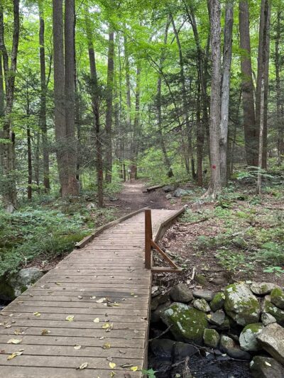 Webb Mountain Park - Monroe, CT