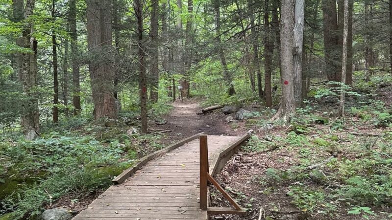Webb Mountain Park - Monroe, CT