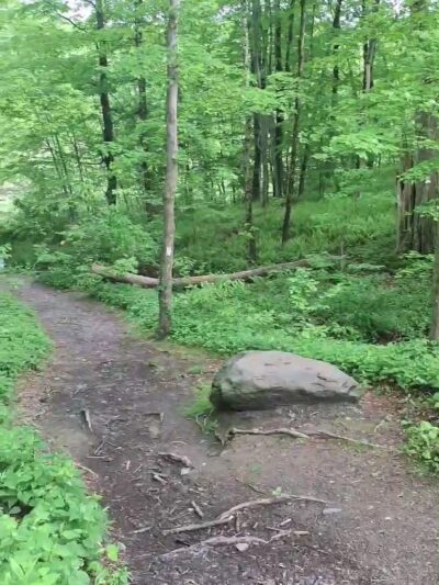 Appalachian Trail - Monroe, NY