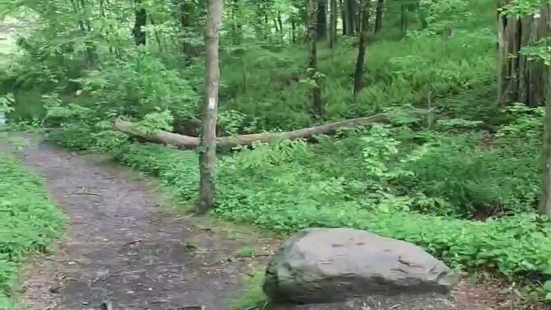 Appalachian Trail - Monroe, NY