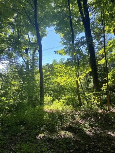 Appalachian Trail - Monroe, NY