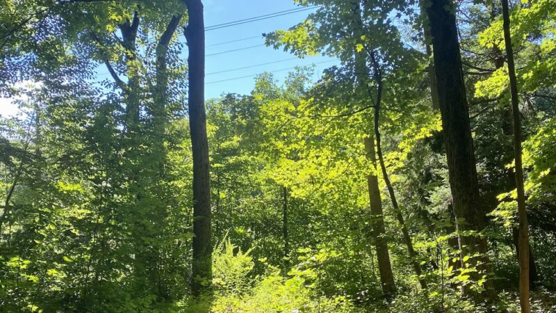 Appalachian Trail - Monroe, NY