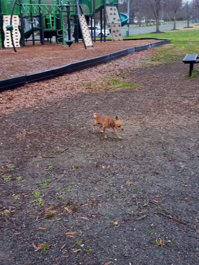 Sunset Park Playground - Monroe, NC