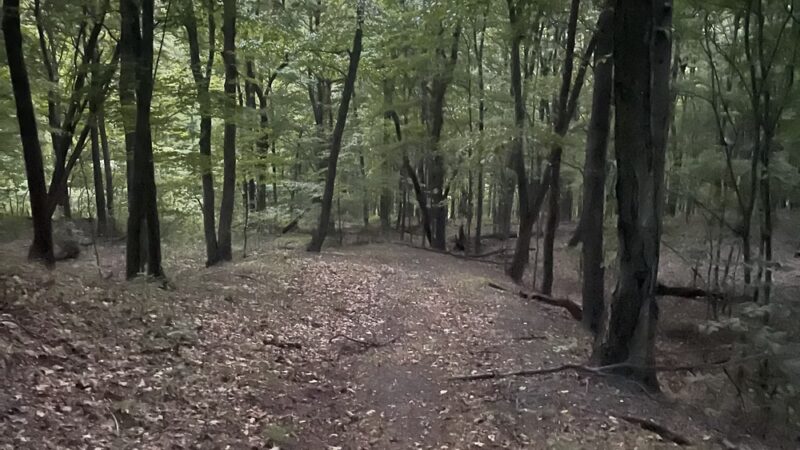 Monroeville Community Park Hiking Trails - Monroeville, PA