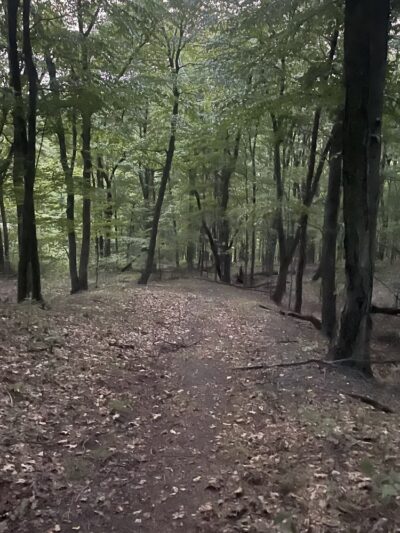 Monroeville Community Park Hiking Trails - Monroeville, PA