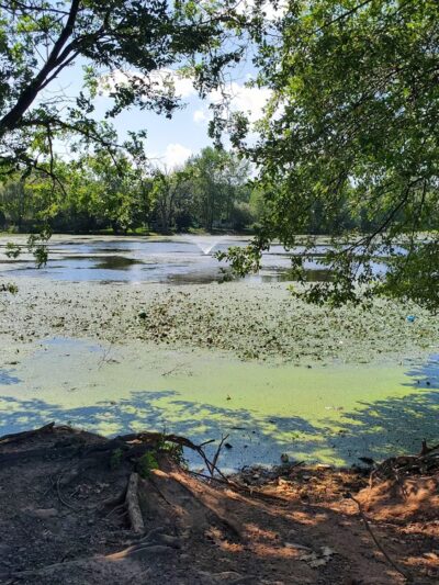 Suzanne Lake Dam - Monsey, NY
