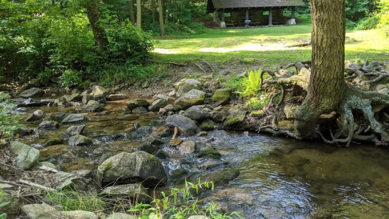 Mont Alto State Park - Mont Alto, PA