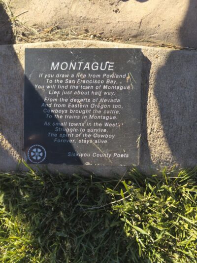 Cowboy Statue, Railroad Park - Montague, CA