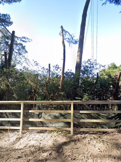 Happy Tails Doggy Day Care and Grooming - Montara, CA