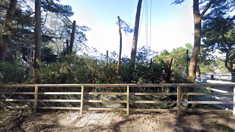 Happy Tails Doggy Day Care and Grooming - Montara, CA