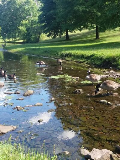 Yantacaw Brook Park - Montclair, NJ