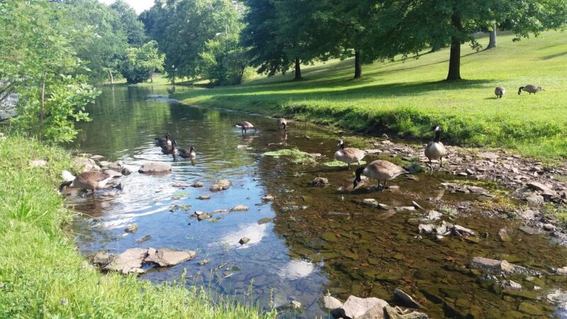 Yantacaw Brook Park - Montclair, NJ