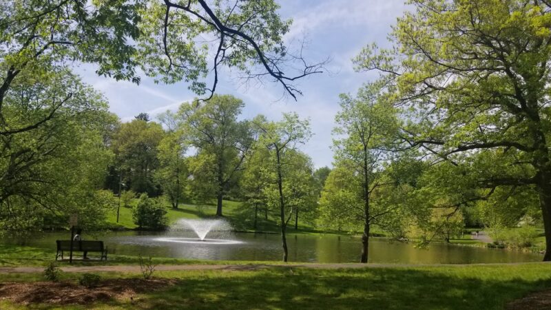 Yantacaw Brook Park - Montclair, NJ