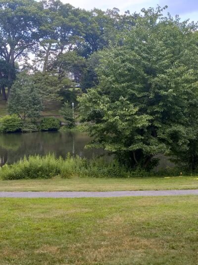 Yantacaw Brook Park - Montclair, NJ