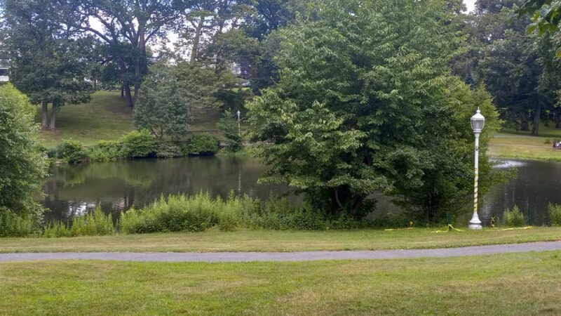 Yantacaw Brook Park - Montclair, NJ