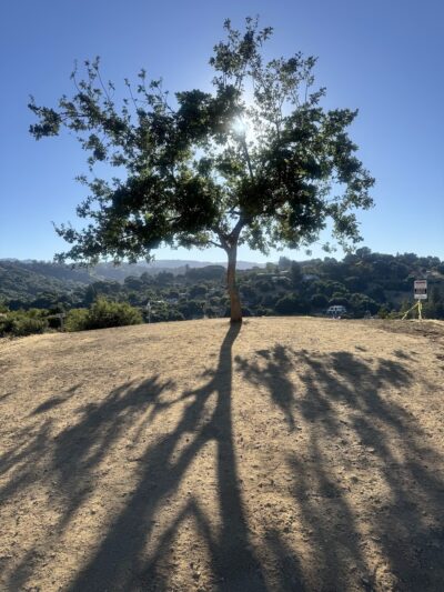 Parker Ranch Trailhead - MONTE VISTA, CA