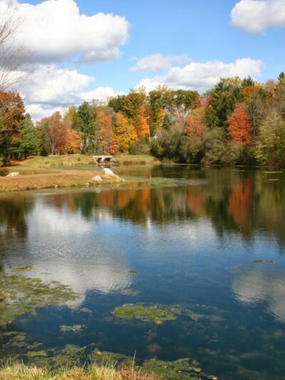 Kathryn Gorman Ponds Park - Montebello, NY