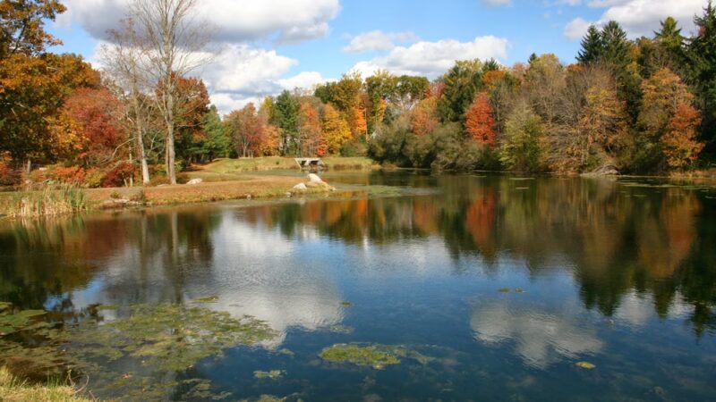 Kathryn Gorman Ponds Park - Montebello, NY