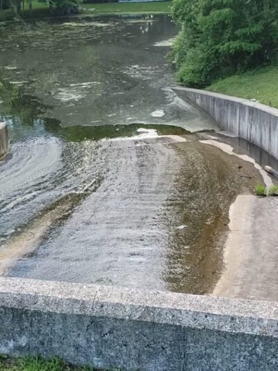 Kathryn Gorman Ponds Park - Montebello, NY