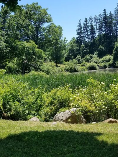 Kathryn Gorman Ponds Park - Montebello, NY