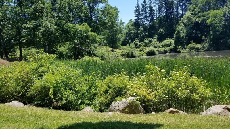 Kathryn Gorman Ponds Park - Montebello, NY