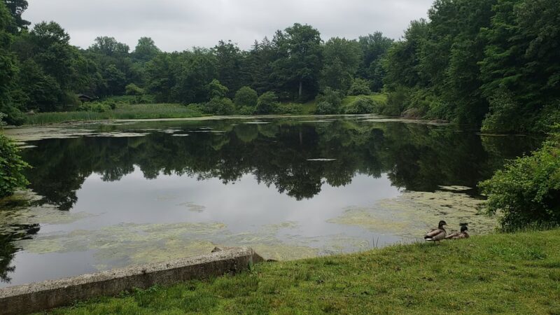 Kathryn Gorman Ponds Park - Montebello, NY
