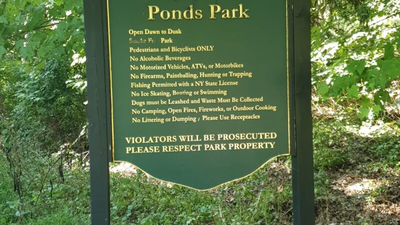 Kathryn Gorman Ponds Park - Montebello, NY