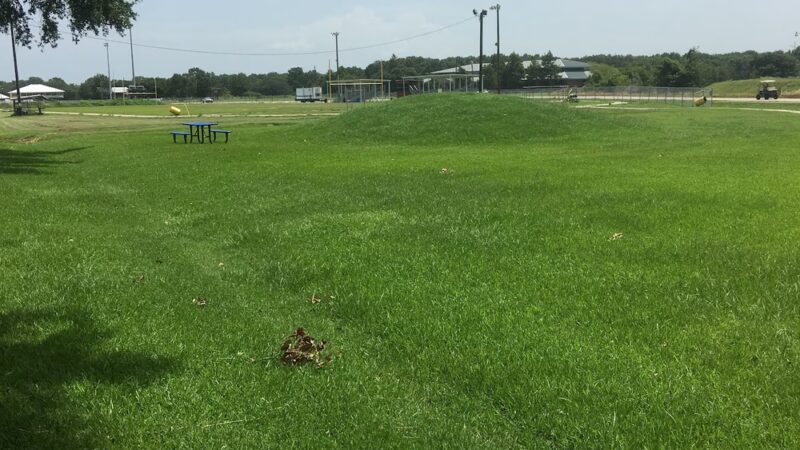 Montegut Park - Montegut, LA