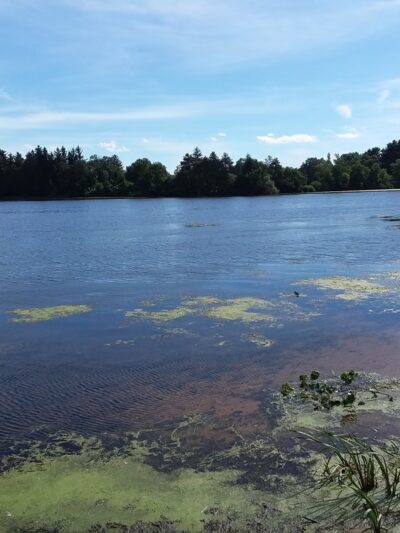 Montello City Park - Montello, WI