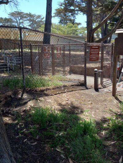 El Estero Lake Dog Park - Monterey, CA