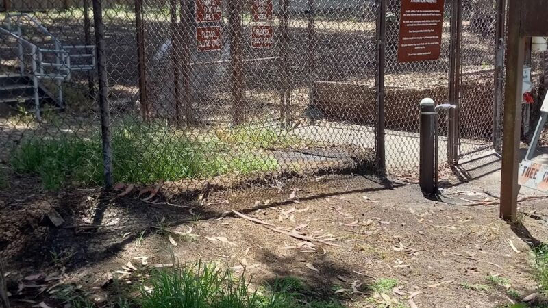 El Estero Lake Dog Park - Monterey, CA