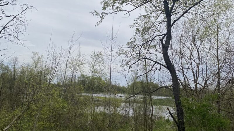 North Judson Erie Trail (S 700 E) - Monterey, IN