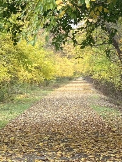 North Judson Erie Trail (S 700 E) - Monterey, IN