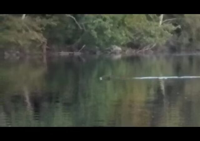 Beartown State Forest - Monterey, MA