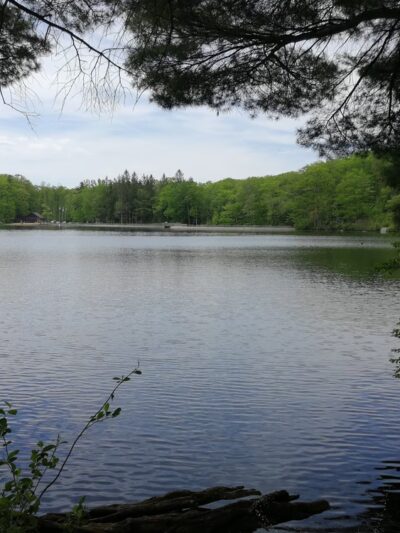 Beartown State Forest - Monterey, MA